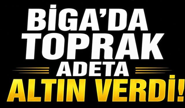 Biga'da toprak adeta altın verdi!