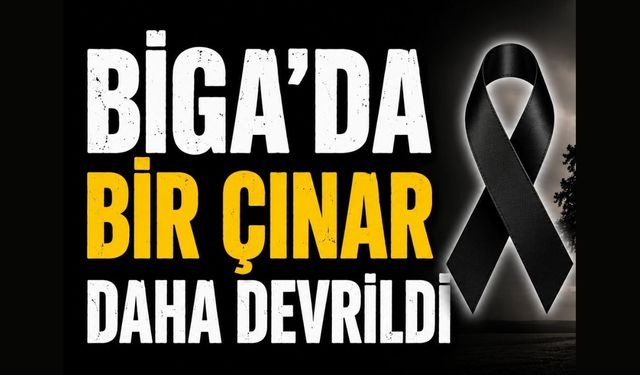 Biga’da bir çınar daha devrildi