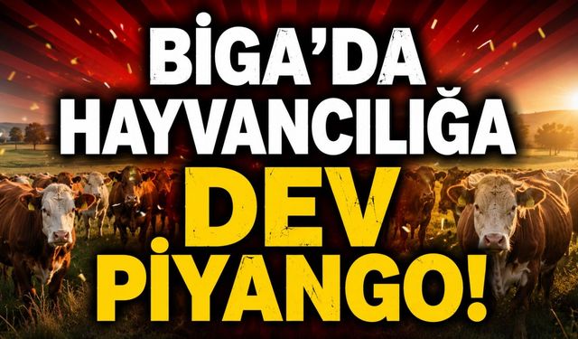 Biga'da hayvancılığa dev Piyango!