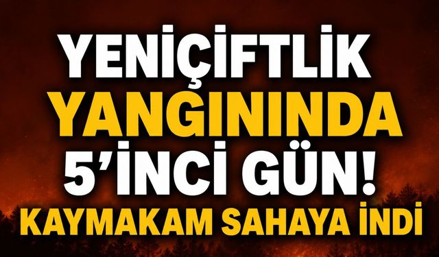 Yeniçiftlik yangınında 5'inci gün! Kaymakam sahaya indi