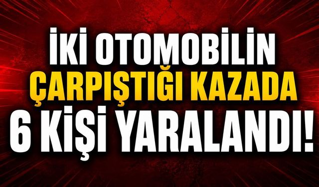 Yatak odasında uyuşturucu serası bulundu
