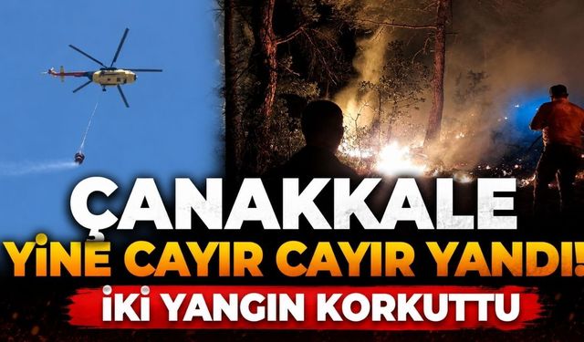 Çanakkale Yine Cayır Cayır Yandı! İki Yangın Korkuttu