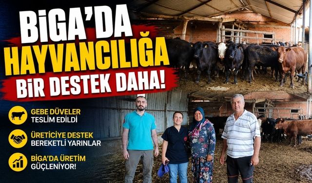 Biga’da hayvancılığa bir destek daha!