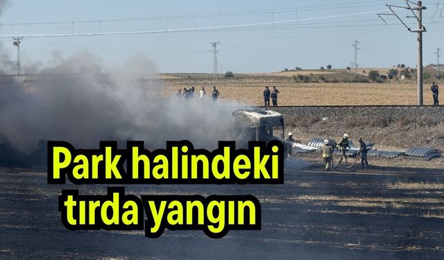 Park halindeki tırda yangın