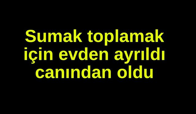 Sumak toplamak için evden ayrıldı canından oldu