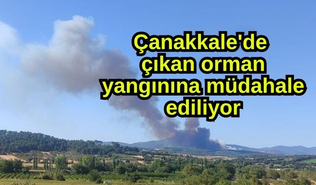Çanakkale'de çıkan orman yangınına müdahale ediliyor