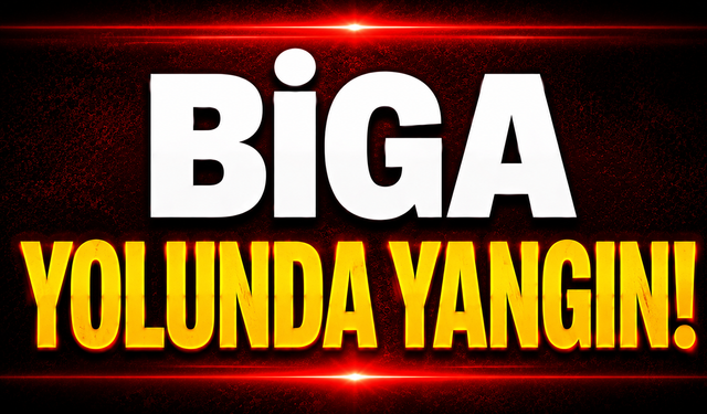 Biga Yolunda Yangın!