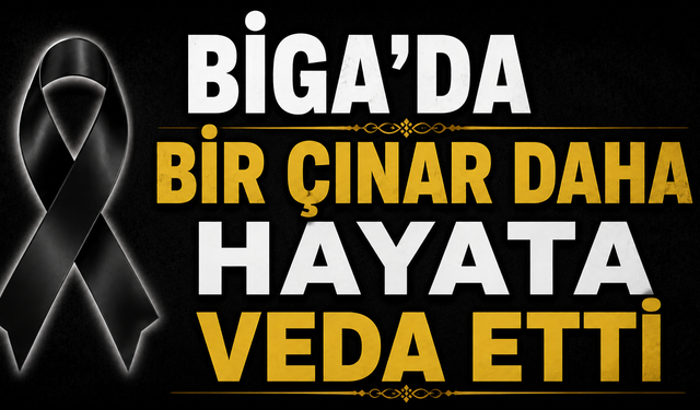 Biga’da bir çınar daha hayata veda etti
