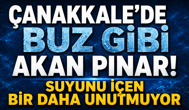 Çanakkale’de buz gibi akan pınar! Suyunu içen bir daha unutmuyor