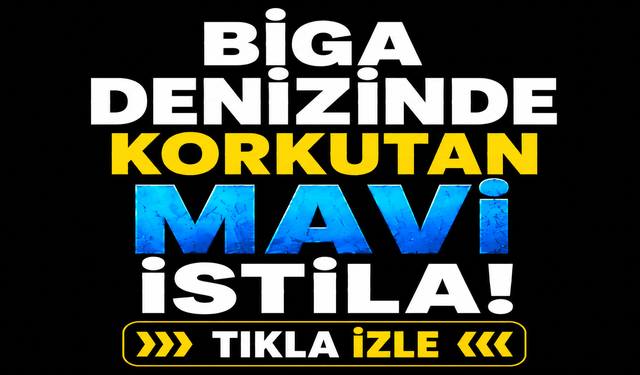 Biga denizinde korkutan mavi istila