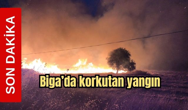 Son Dakika! Biga'da korkutan yangın
