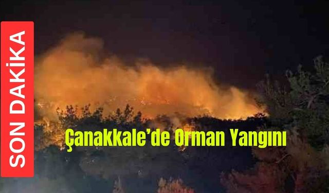 Son Dakika! Çanakkale'de Orman Yangını!