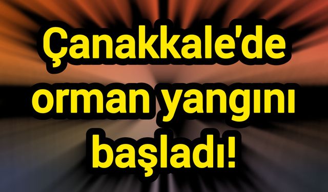 Çanakkale'de orman yangını başladı!