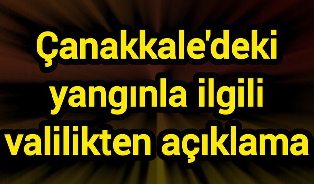 Çanakkale'deki yangınla ilgili valilikten açıklama