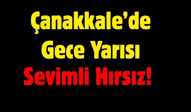 Çanakkale’de Gece Yarısı Sevimli Hırsız!