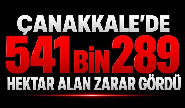 Çanakkale'de 541 bin 289 hektar alan zarar gördü
