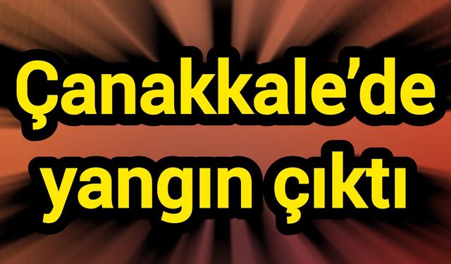 Çanakkale’de yangın çıktı