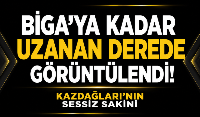 Biga’ya kadar uzanan derede görüntülendi! Kazdağları’nın sessiz sakini