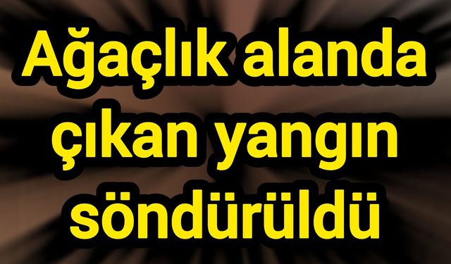 Ağaçlık alanda çıkan yangın söndürüldü