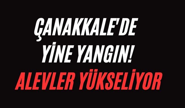 Çanakkale'de yine yangın! Alevler yükseliyor