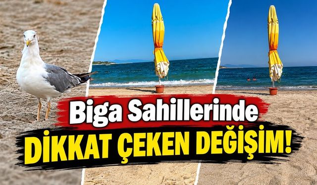 Biga Sahillerinde Dikkat Çeken Değişim!