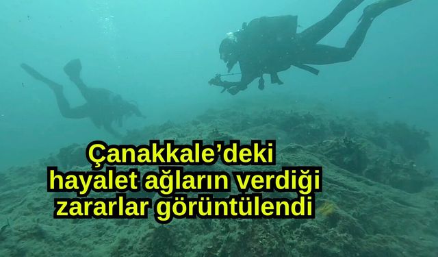Çanakkale’deki hayalet ağların verdiği zararlar görüntülendi