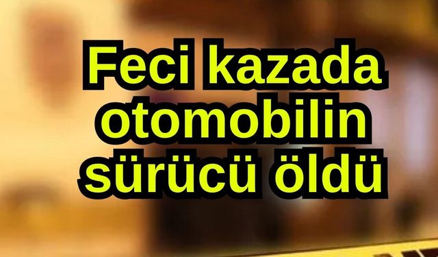 Feci kazada otomobilin sürücü öldü