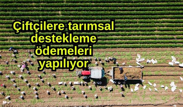 Çiftçilere tarımsal destekleme ödemeleri yapılıyor