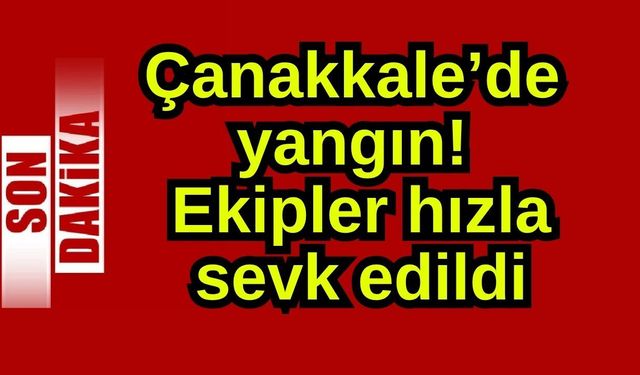 Çanakkale'de yangın! Ekipler hızla sevk edildi