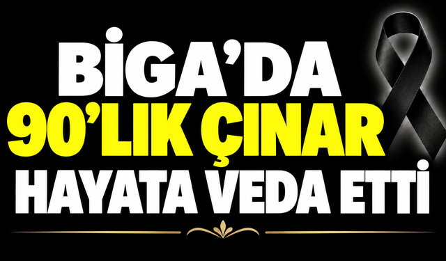 Biga’da 90’lık çınar hayata veda etti