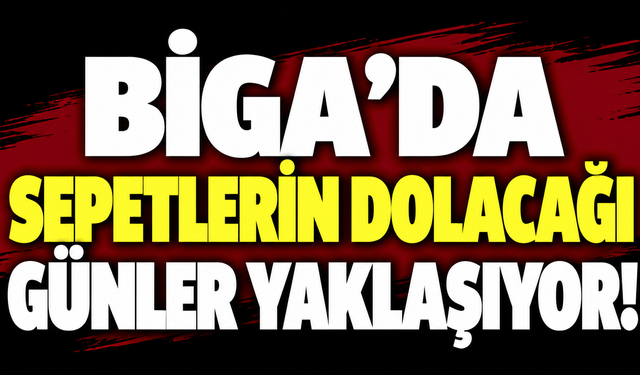 Biga’da sepetlerin dolacağı günler yaklaşıyor!