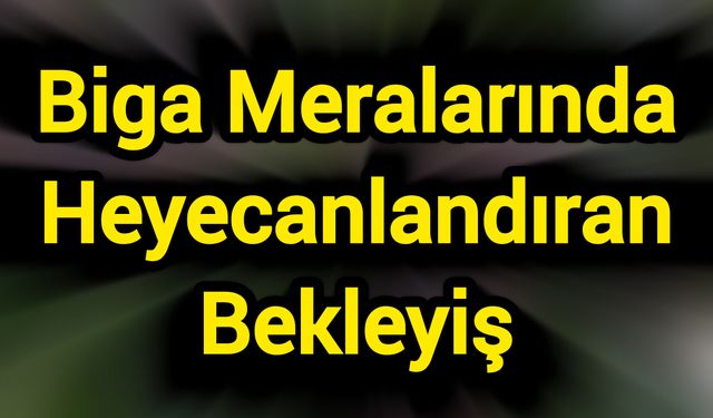 Biga Meralarında Heyecanlandıran Bekleyiş