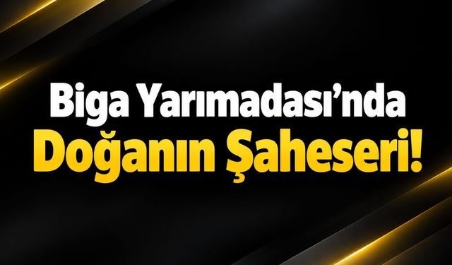 Biga Yarımadası’nda Doğanın Şaheseri!