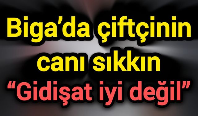 Biga’da çiftçinin canı sıkkın: “Gidişat iyi değil”