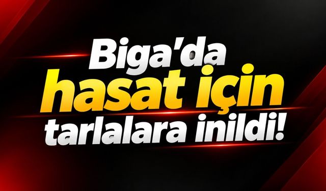 Biga’da hasat için tarlalara inildi!