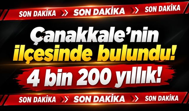 Çanakkale’nin ilçesinde bulundu! 4 bin 200 yıllık!