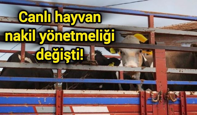 Canlı hayvan nakil yönetmeliği değişti!