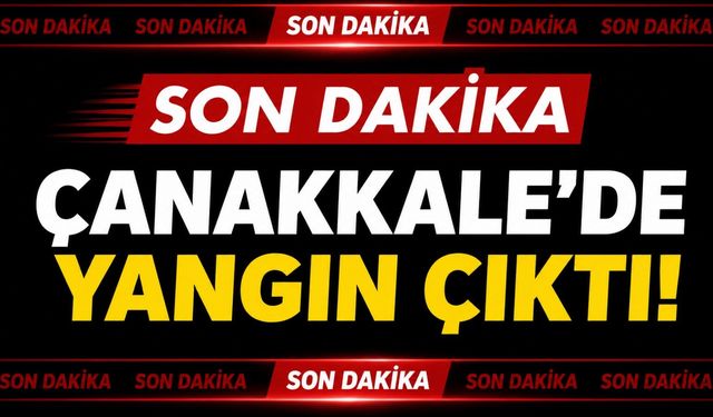 Son Dakika: Çanakkale’de yangın çıktı!