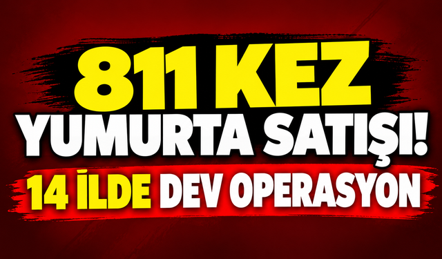 811 kez yumurta satışı! 14 ilde dev operasyon