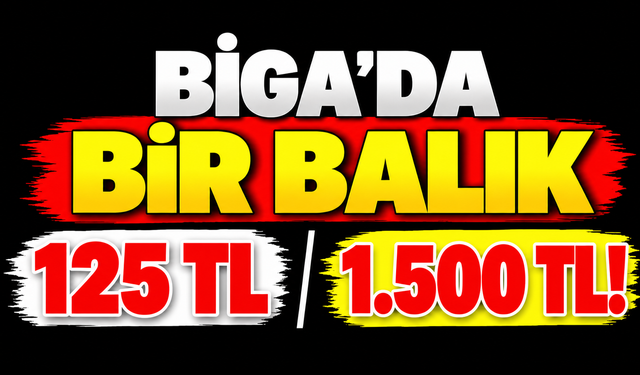 Biga’da bir balık 125 TL, diğeri 1.500 TL!