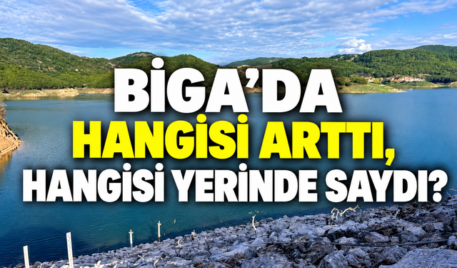 Biga’da hangisi arttı, hangisi yerinde saydı?