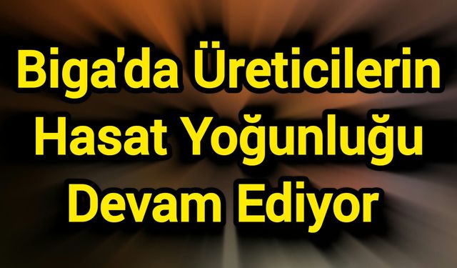 Biga'da Üreticilerin Hasat Yoğunluğu Devam Ediyor
