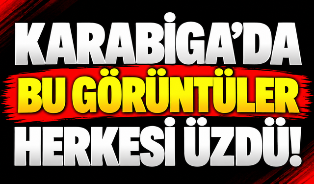 Karabiga’da bu görüntüler herkesi üzdü!