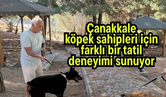 Çanakkale köpek sahipleri için farklı bir tatil deneyimi sunuyor