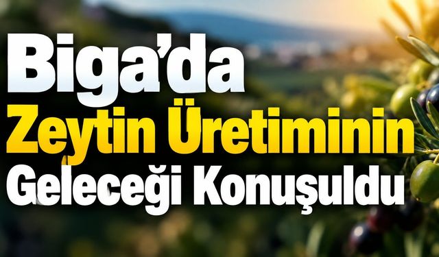 Biga’da zeytin üretiminin geleceği konuşuldu