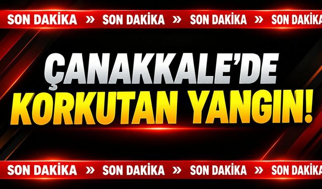 Çanakkale’de Korkutan Yangın!