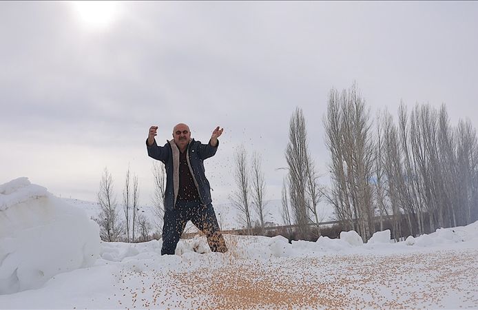 "Kuşlar aç kalmasın" diye kışın 10 ton hububatı doğaya bırakıyor