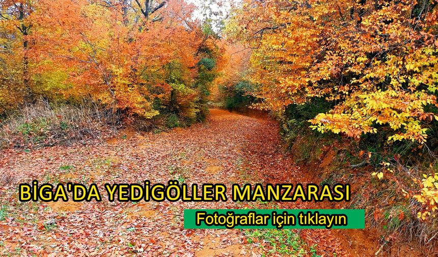 Çanakkale Biga’da yedigöller manzarası