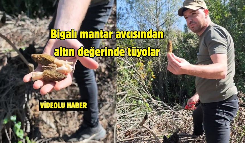 Bigalı mantar avcısından altın değerinde tüyolar(video)