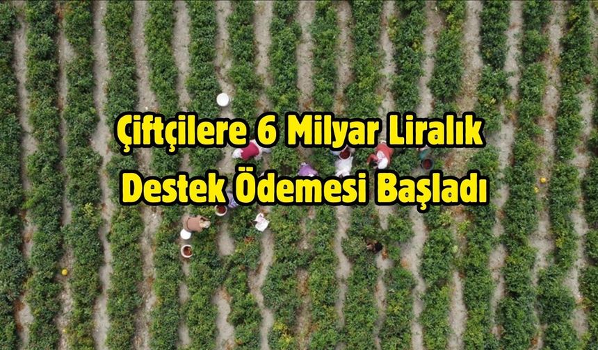 Çiftçilere 6 Milyar Liralık Destek Ödemesi Başladı